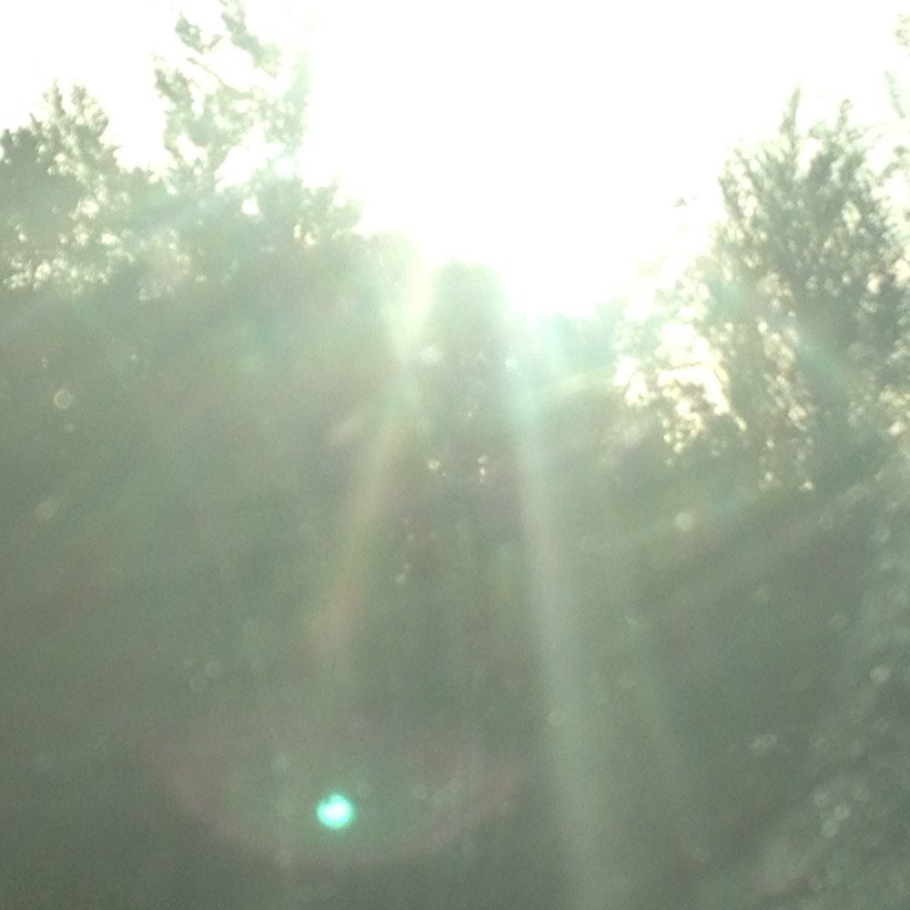 Meet your Posher, Anastacia